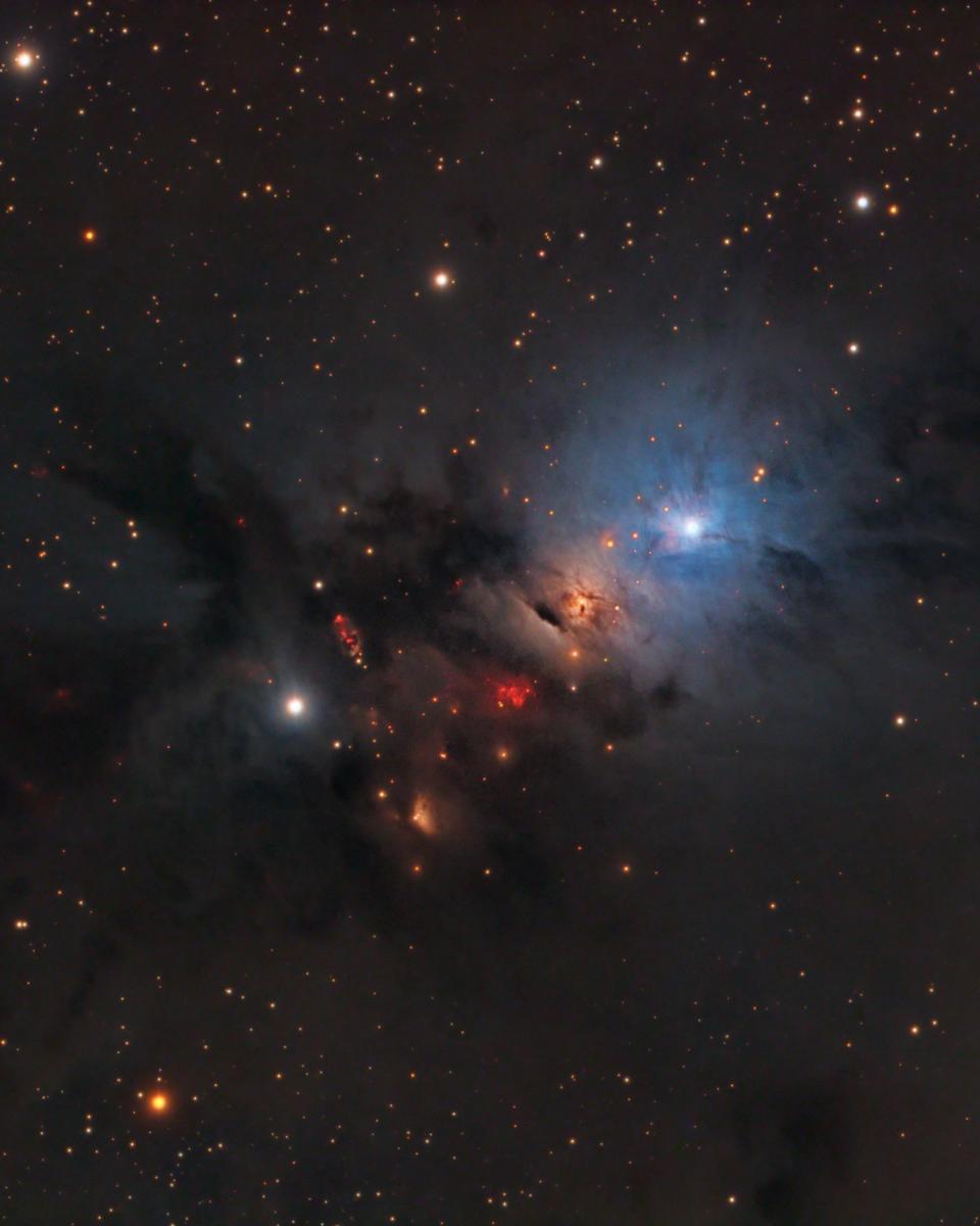 NGC 1333: Stellar Nursery in Perseus