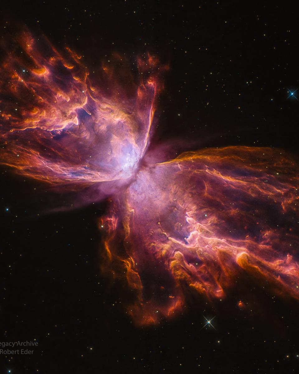 NGC 6302: The Butterfly Nebula