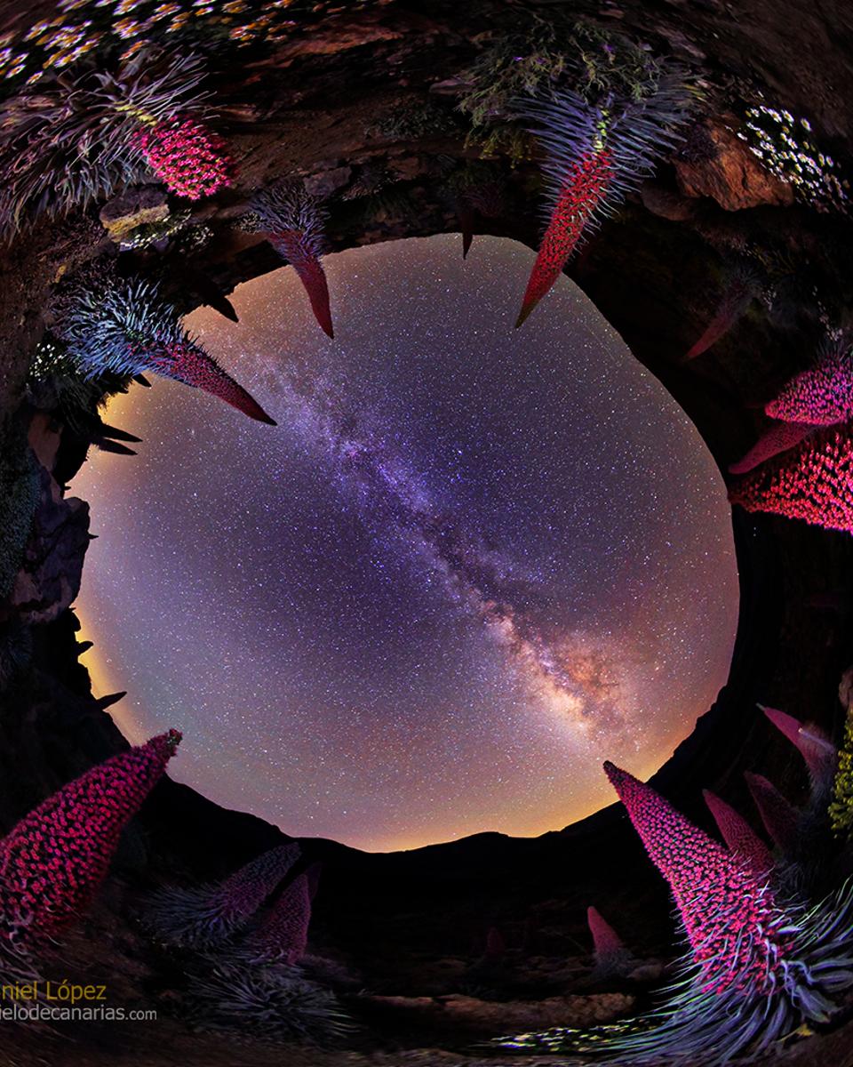 Planet of the Tajinastes