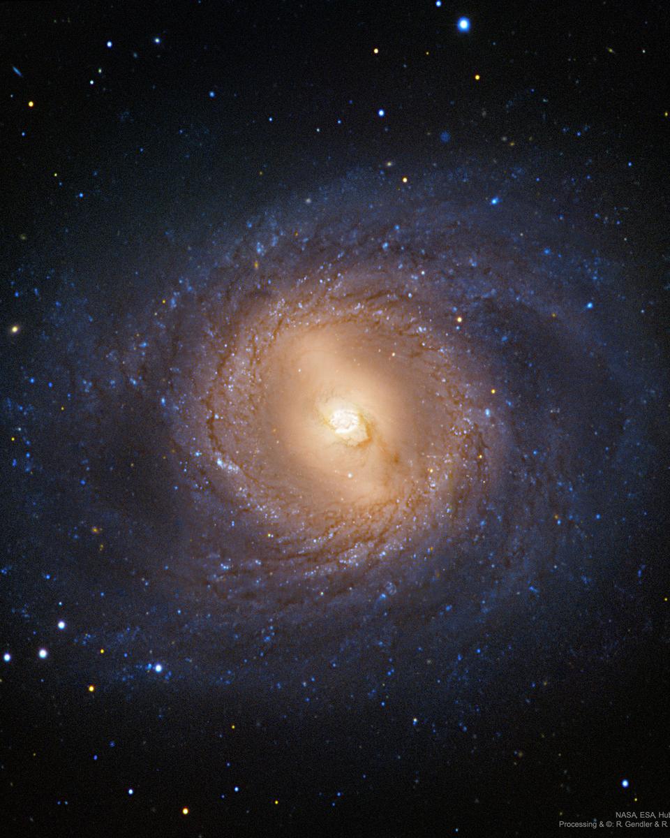 M95: Spiral Galaxy with an Inner Ring