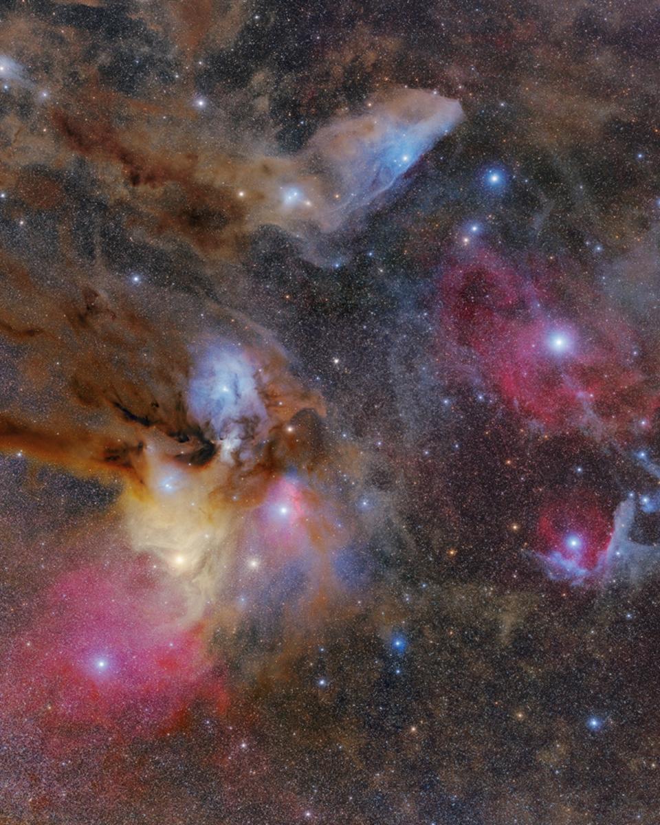 Rho Ophiuchi Wide Field