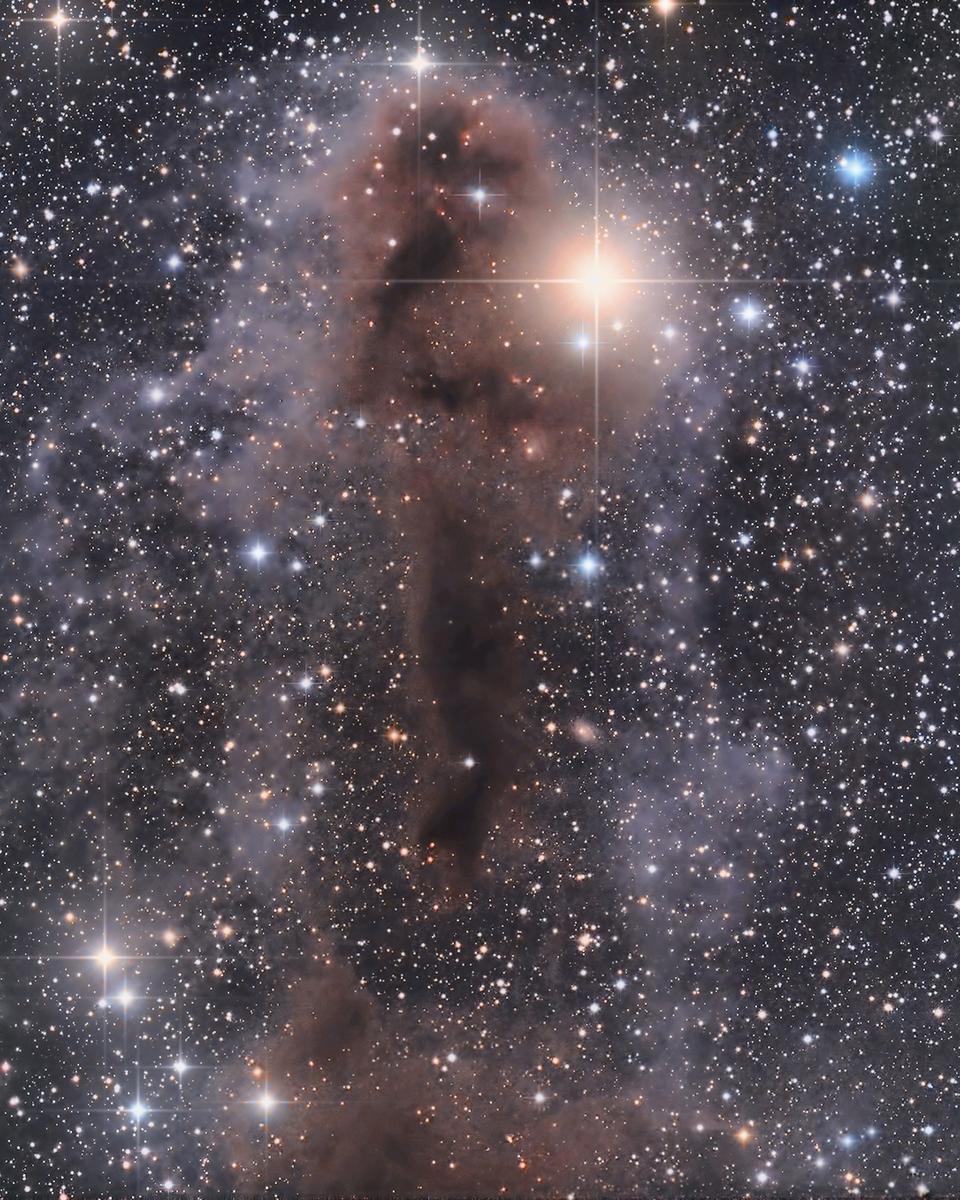 Lynds Dark Nebula 1251