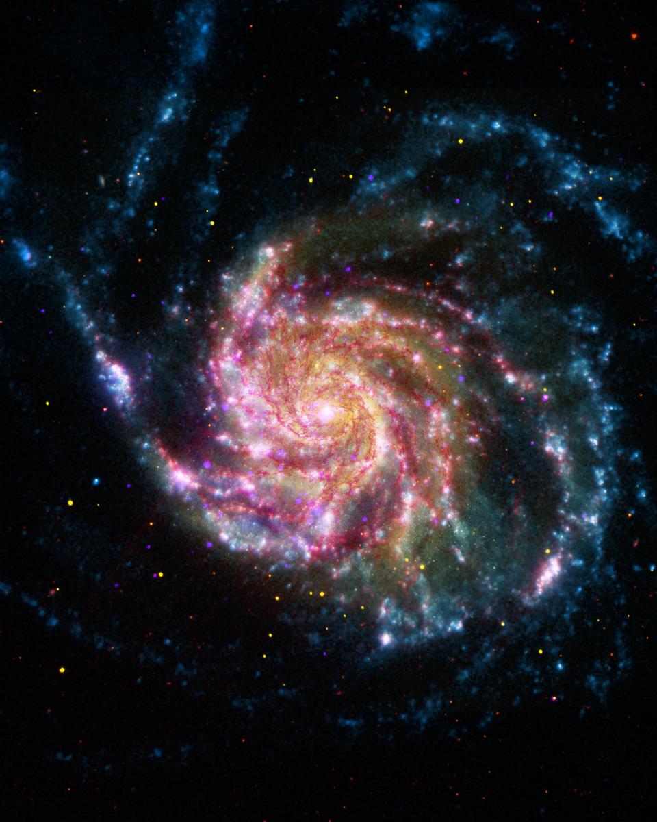 21st Century M101