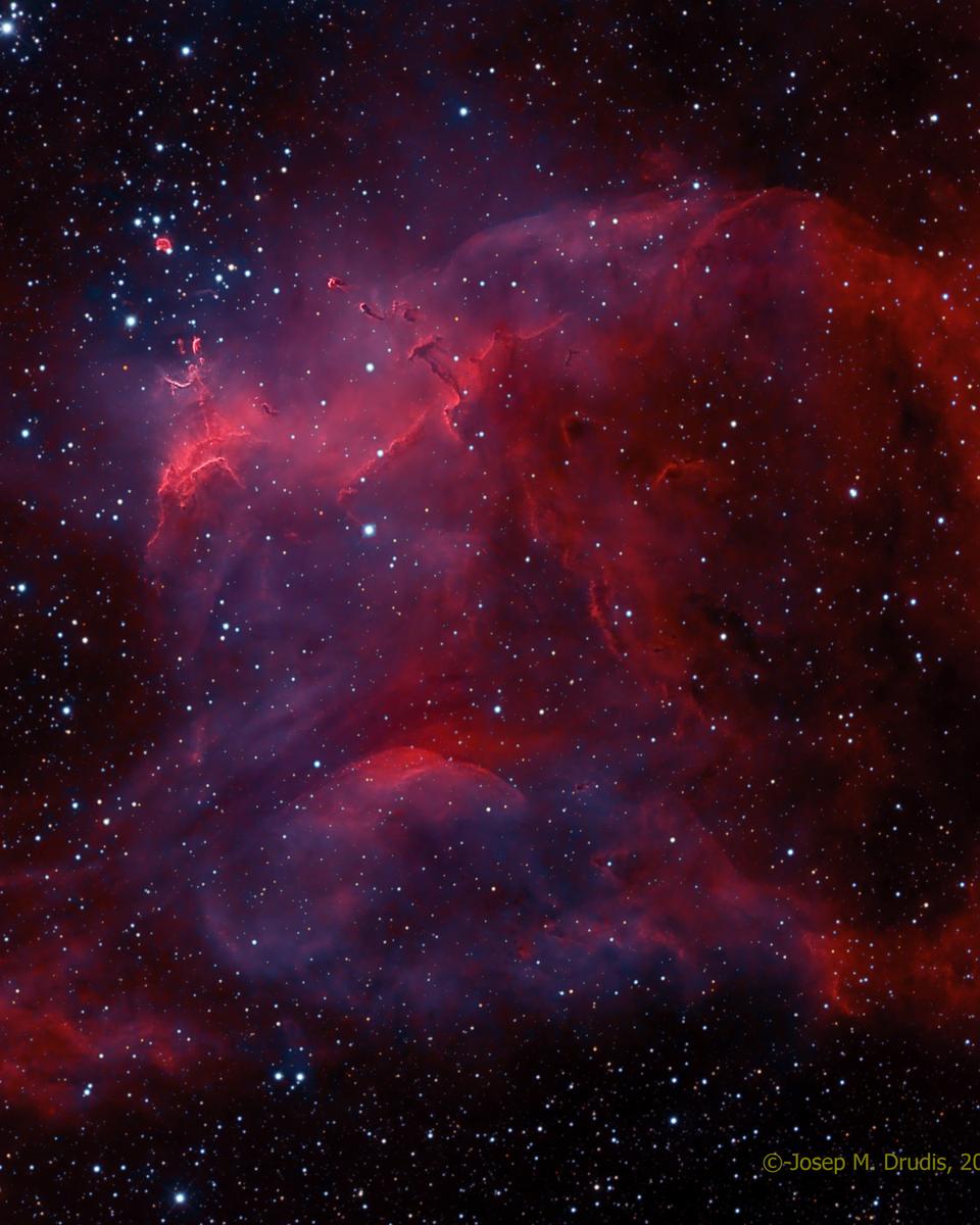 NGC 3572 and the Southern Tadpoles
