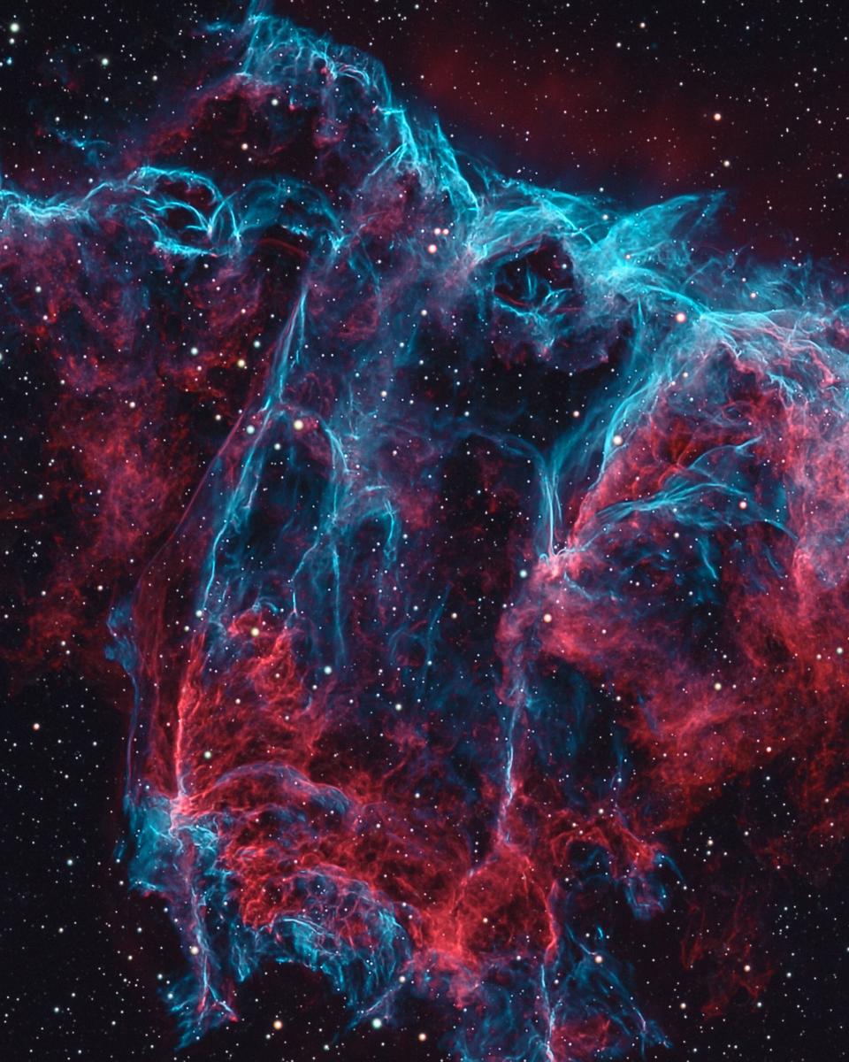 NGC 6995: The Bat Nebula
