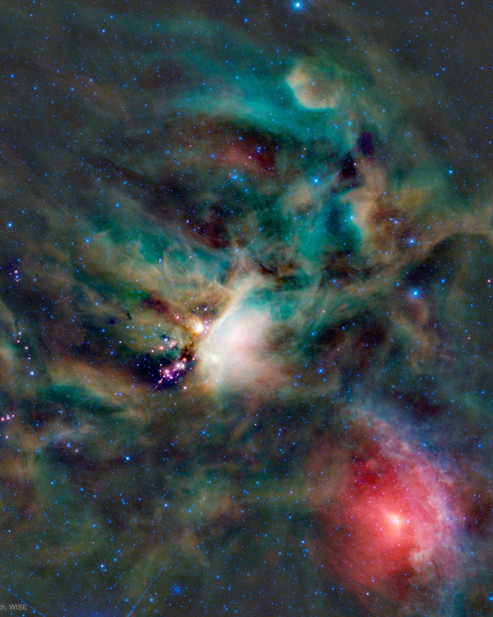 Young Stars in the Rho Ophiuchi Cloud