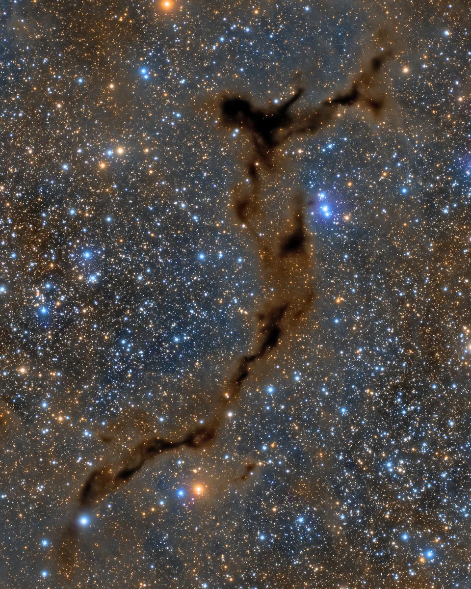 Dark Seahorse in Cepheus
