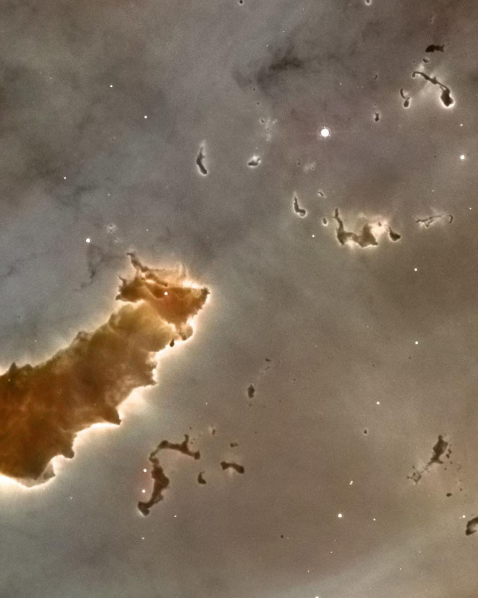 Molecular Clouds in the Carina Nebula
