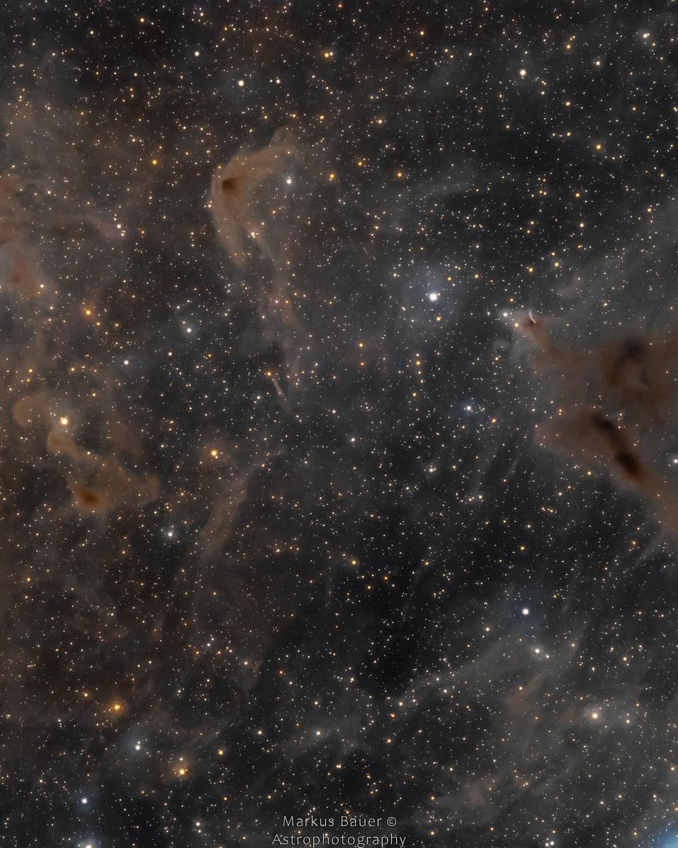 The Iris Nebula in a Field of Dust