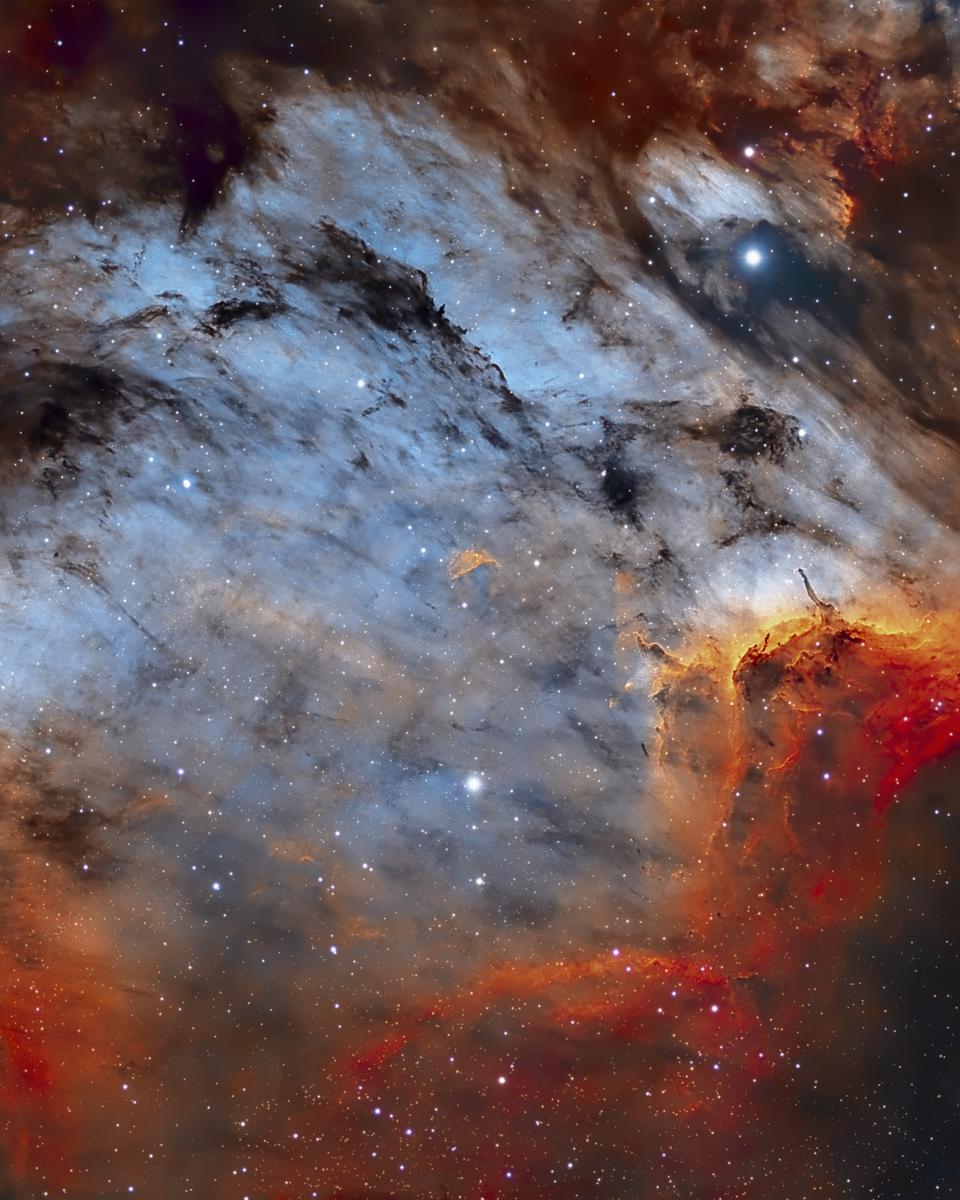 The Pelican Nebula in Gas, Dust, and Stars