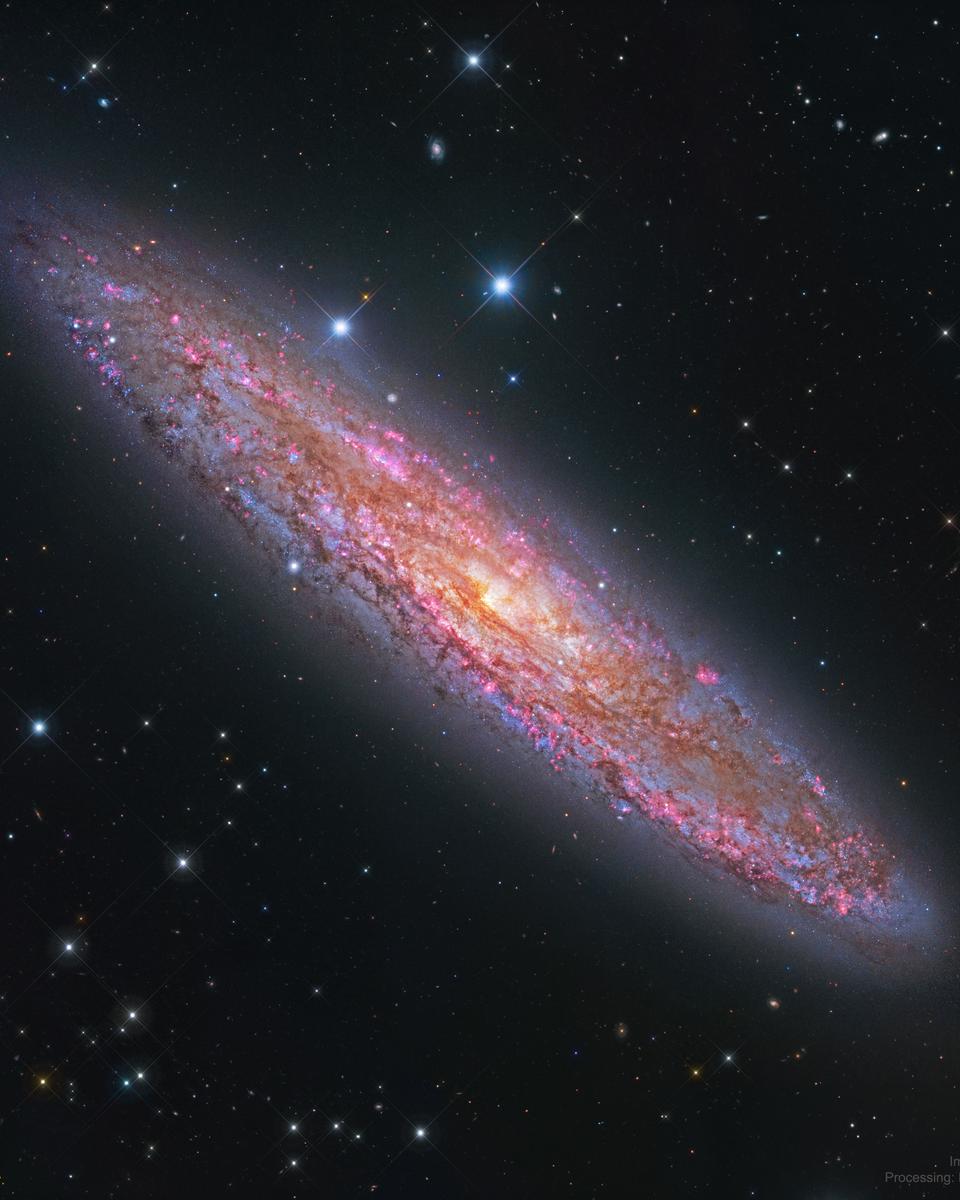 NGC 253: The Silver Coin Galaxy