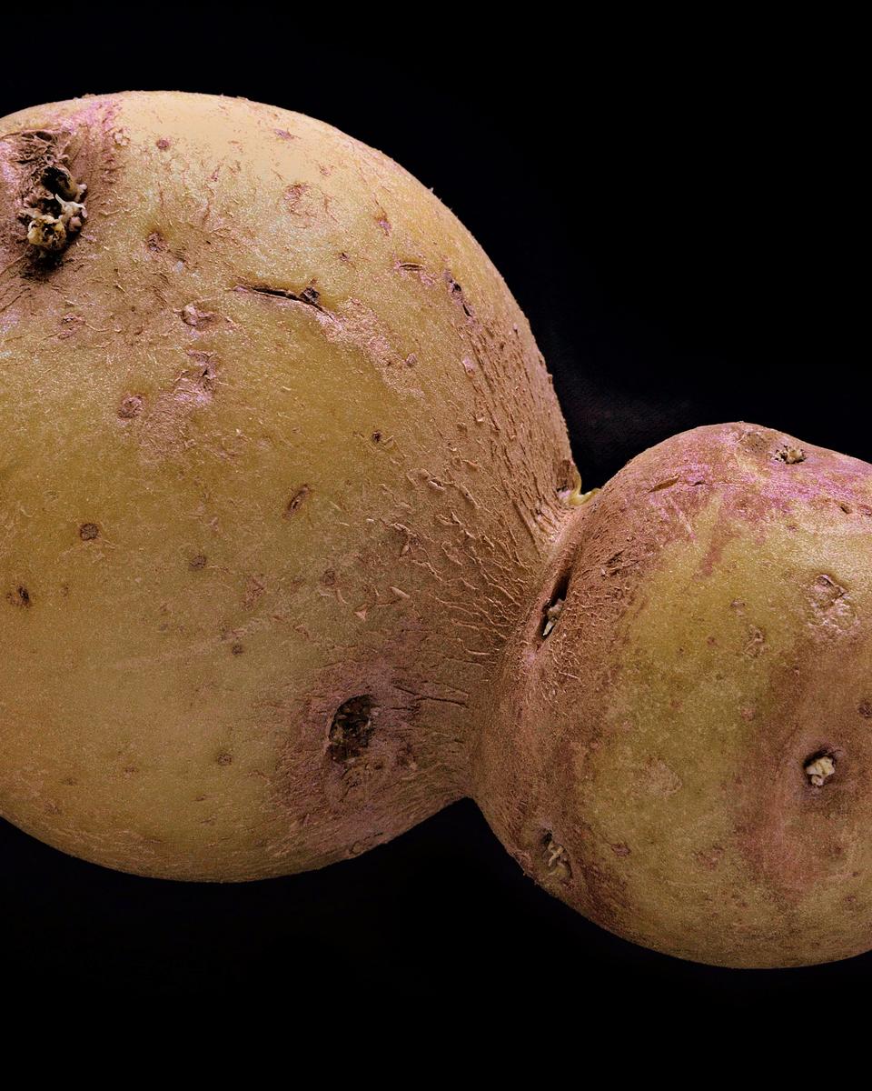 Asteroid or Potato?