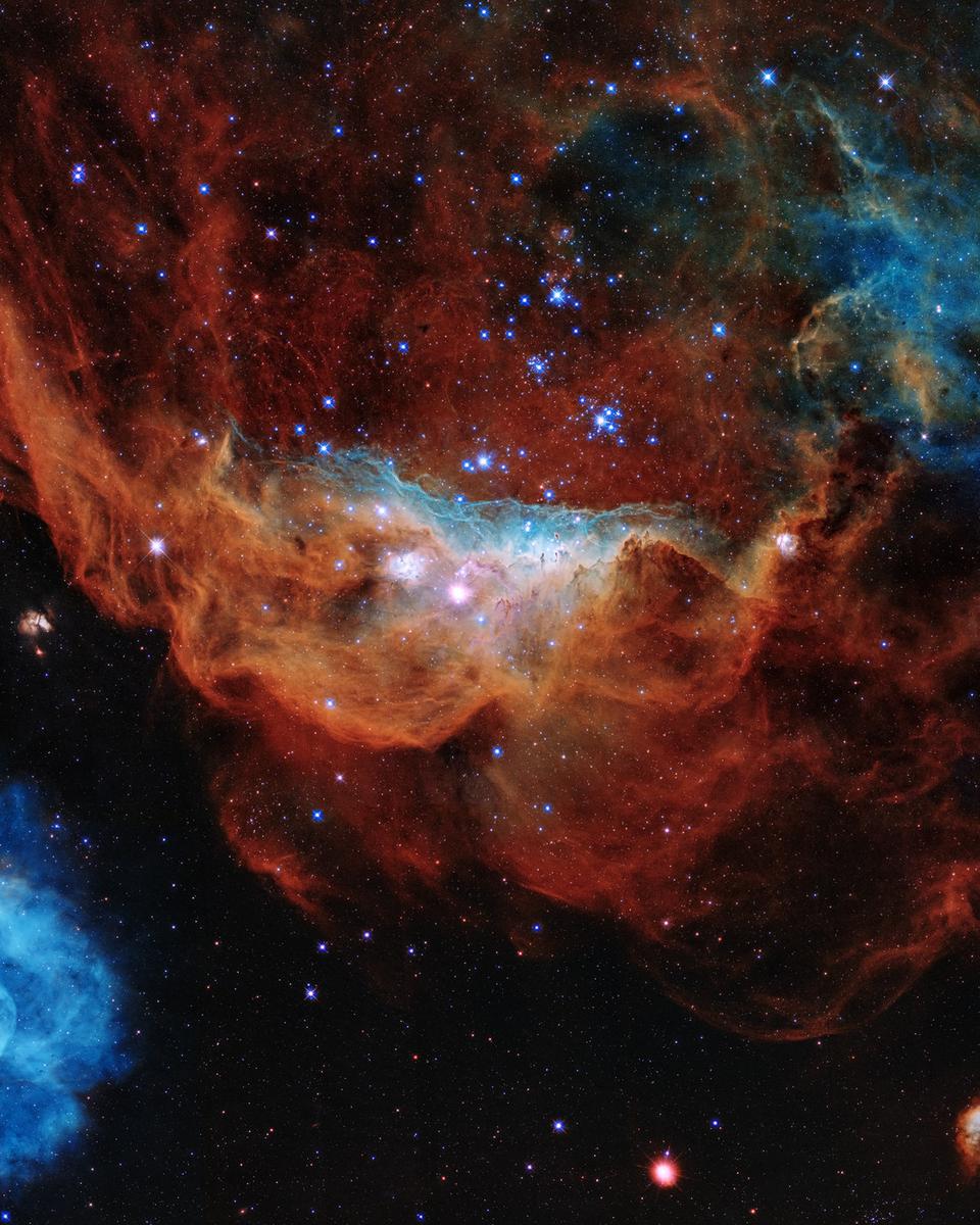 Hubble's Cosmic Reef