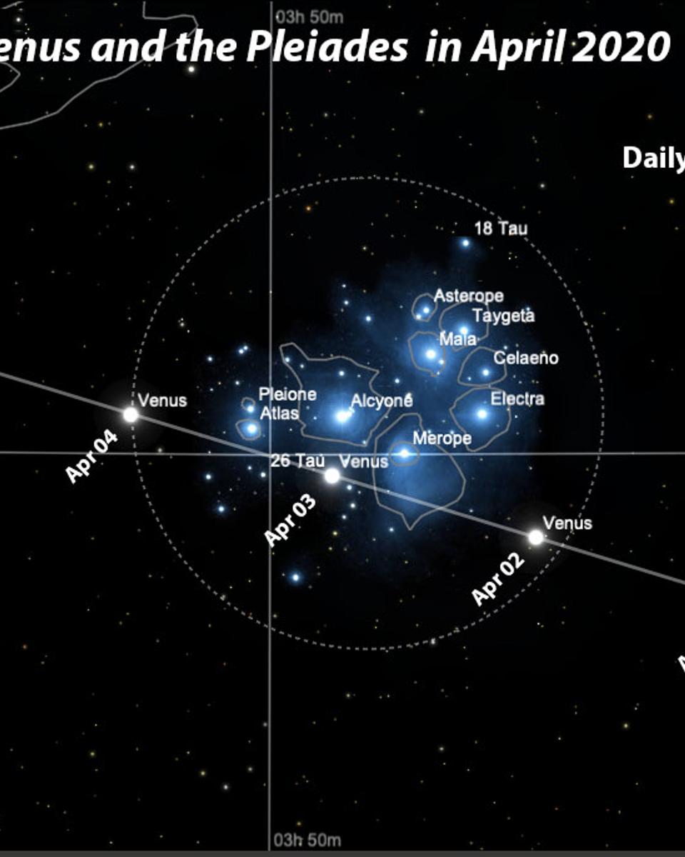 Venus and the Pleiades in April