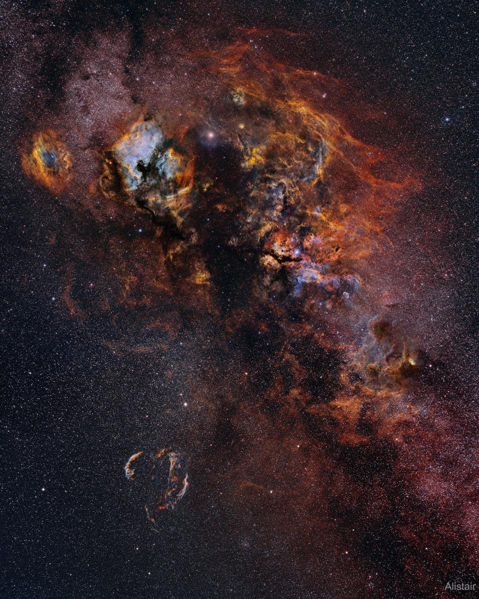 Cygnus Skyscape
