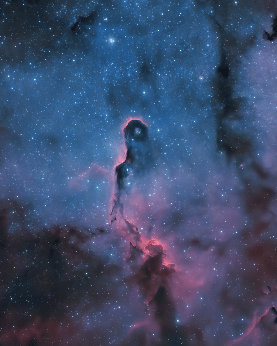 The Elephant's Trunk Nebula in Cepheus