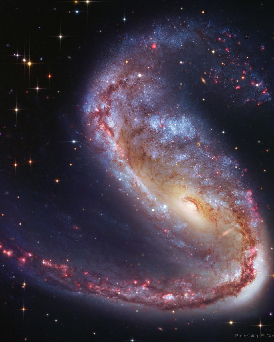 NGC 2442: Galaxy in Volans