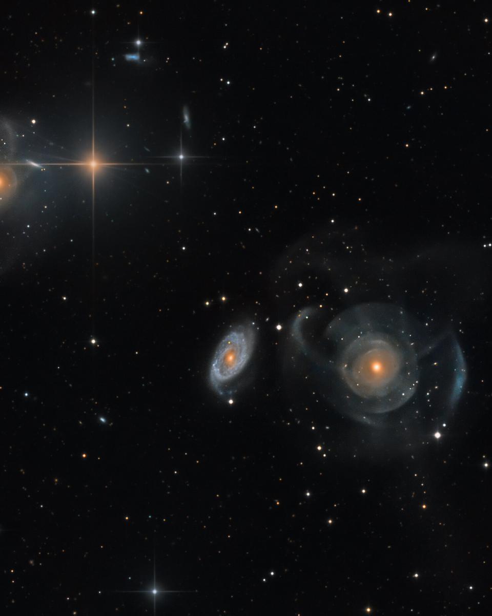 Shell Galaxies in Pisces