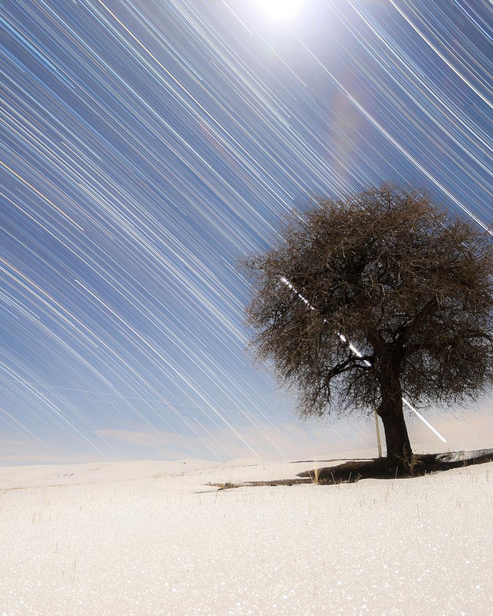Star Trails of the North and South