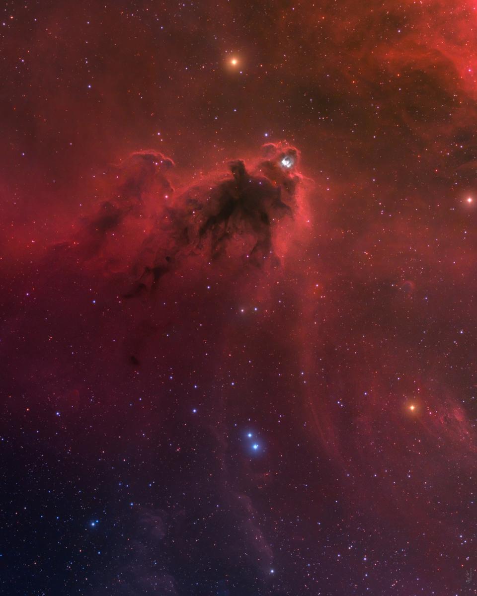 LDN 1622: Dark Nebula in Orion