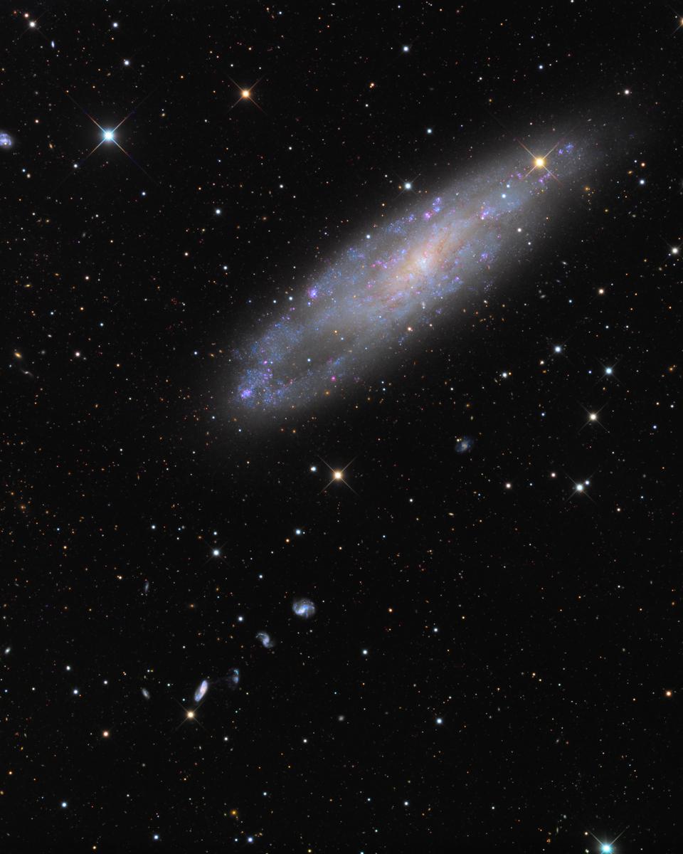 NGC 247 and Friends