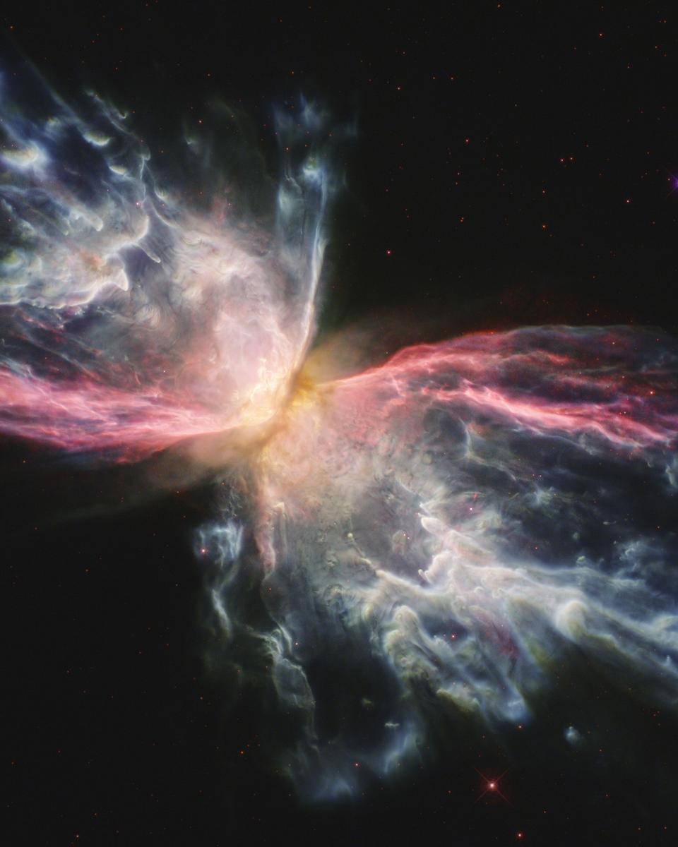 Iron in the Butterfly Nebula