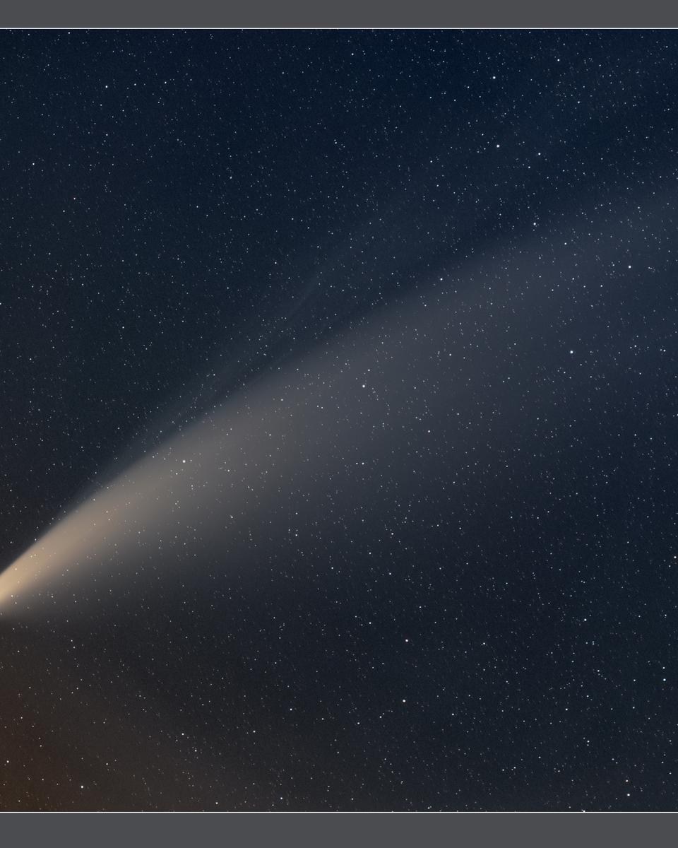 The Tails of Comet NEOWISE