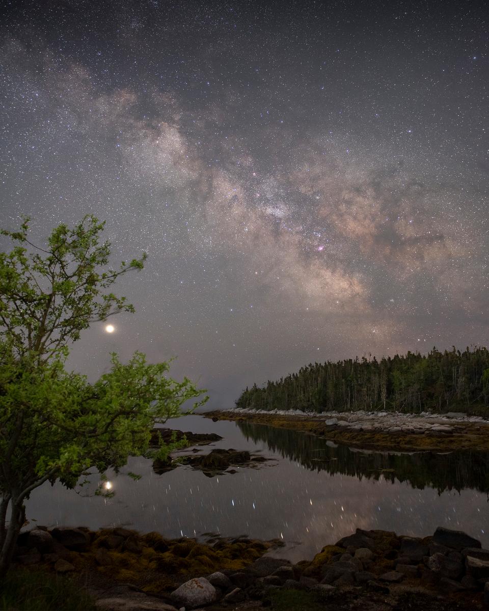 The Galaxy, the Planet, and the Apple Tree