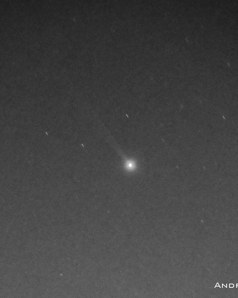 Mercury's Sodium Tail