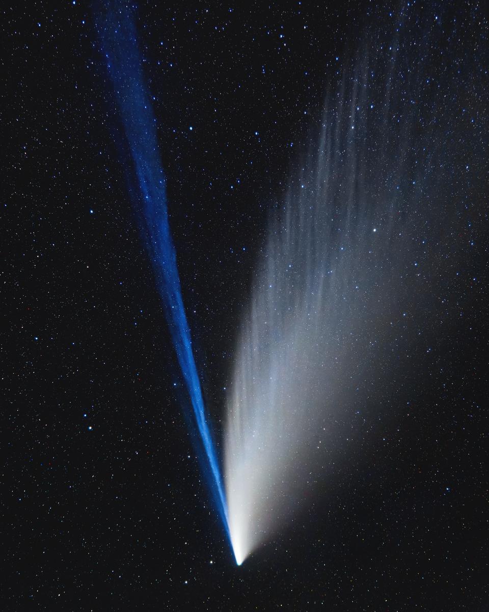 The Structured Tails of Comet NEOWISE