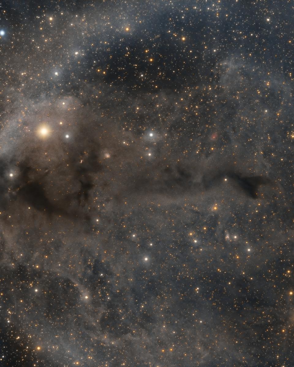 Lynds Dark Nebula 1251
