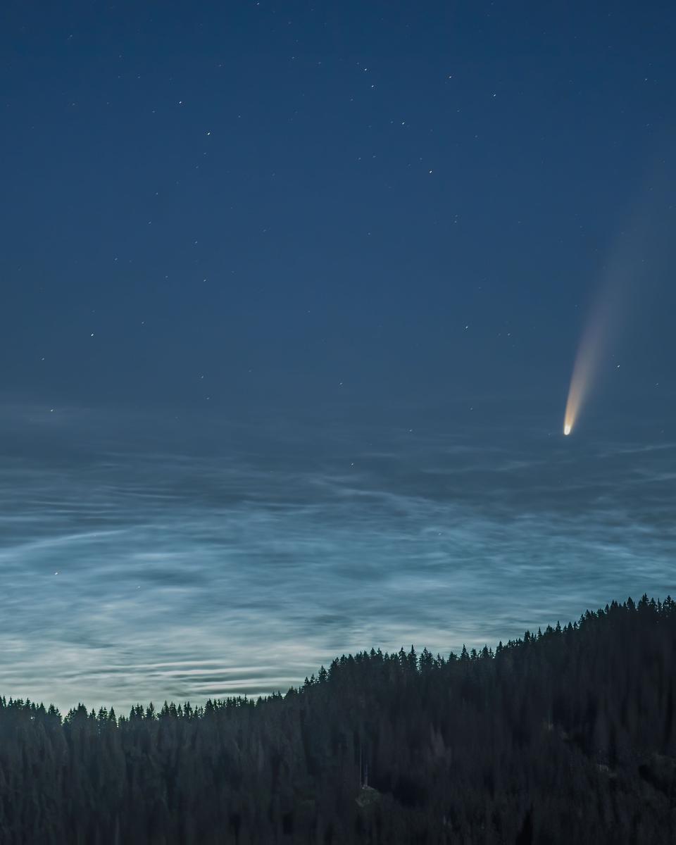 Noctilucent Clouds and Comet NEOWISE