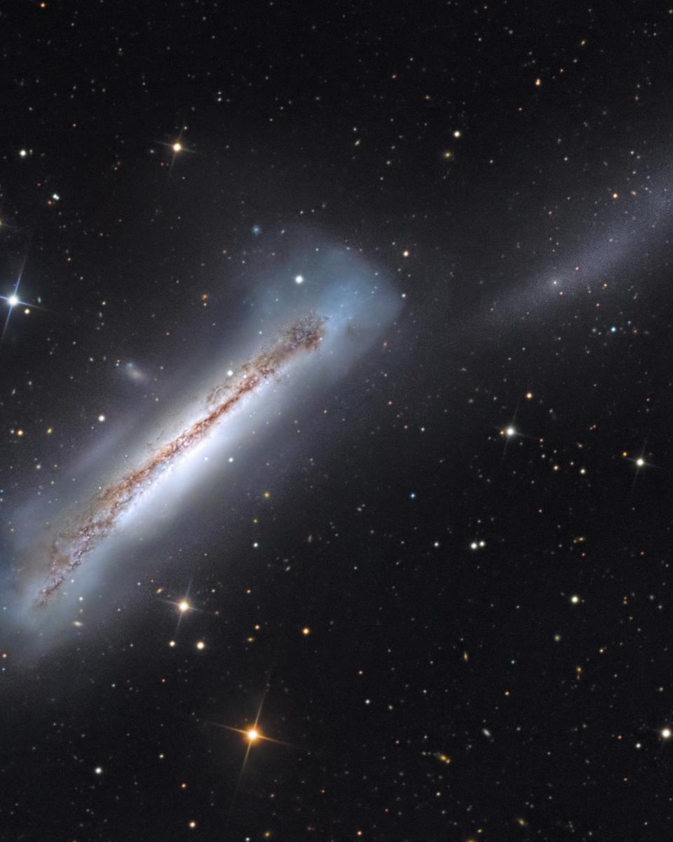 Portrait of NGC 3628