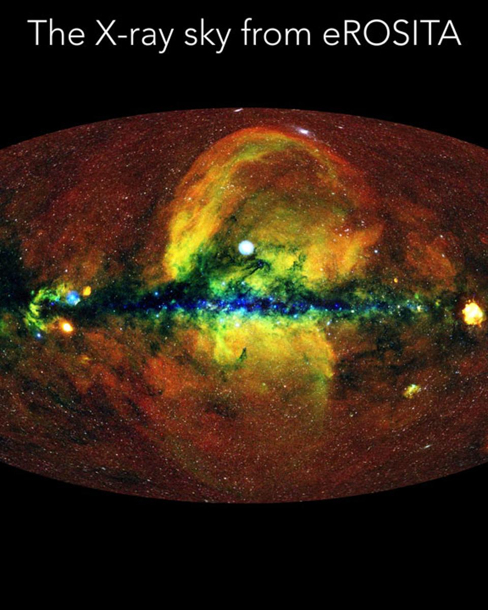 The X-Ray Sky from eROSITA