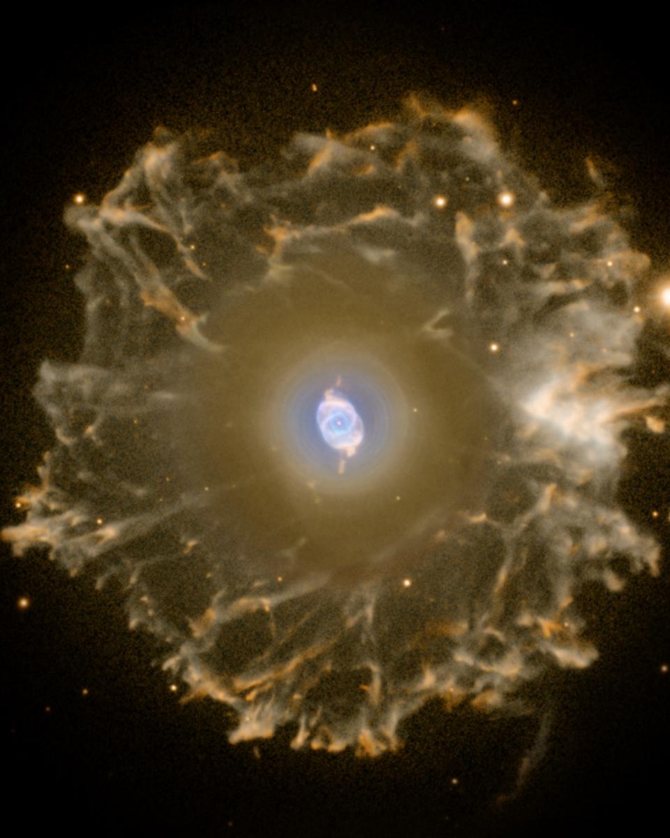 Halo of the Cat's Eye