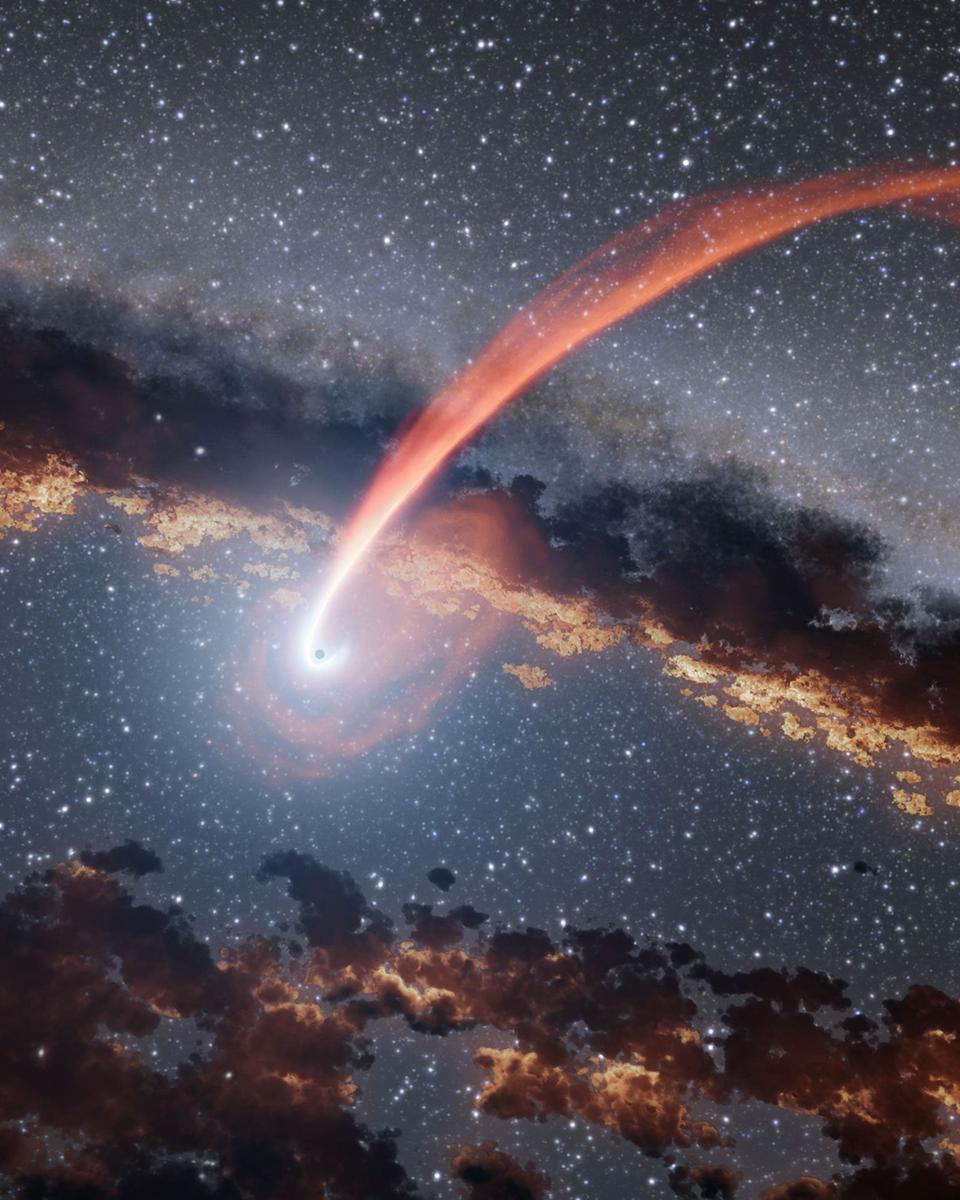A Black Hole Disrupts a Passing Star