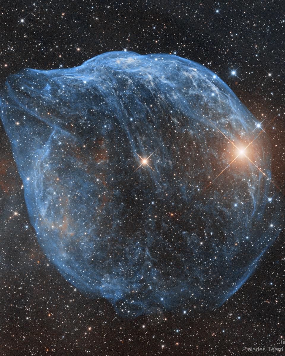 Sharpless-308: The Dolphin Nebula