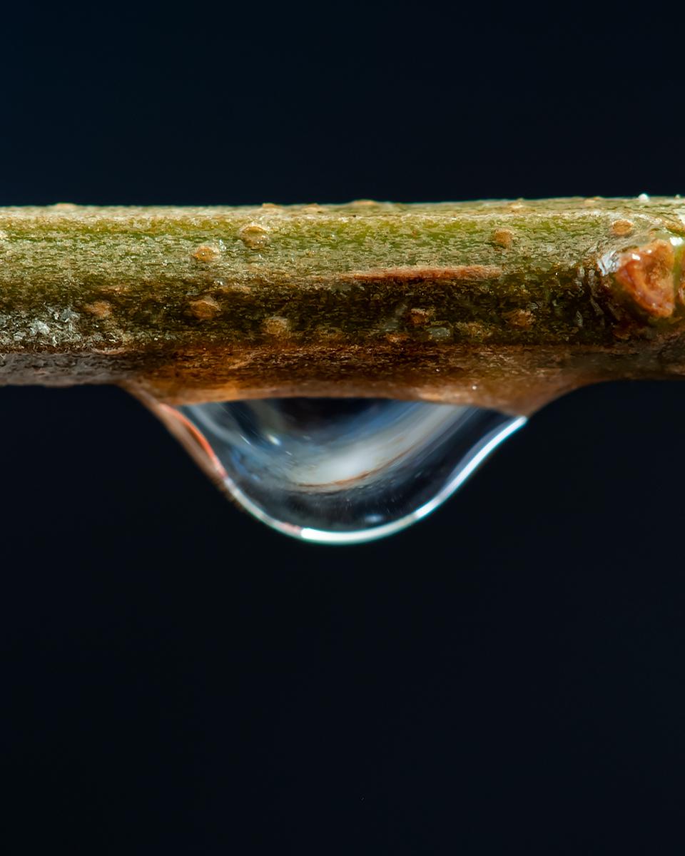 A Little Drop of Galaxy