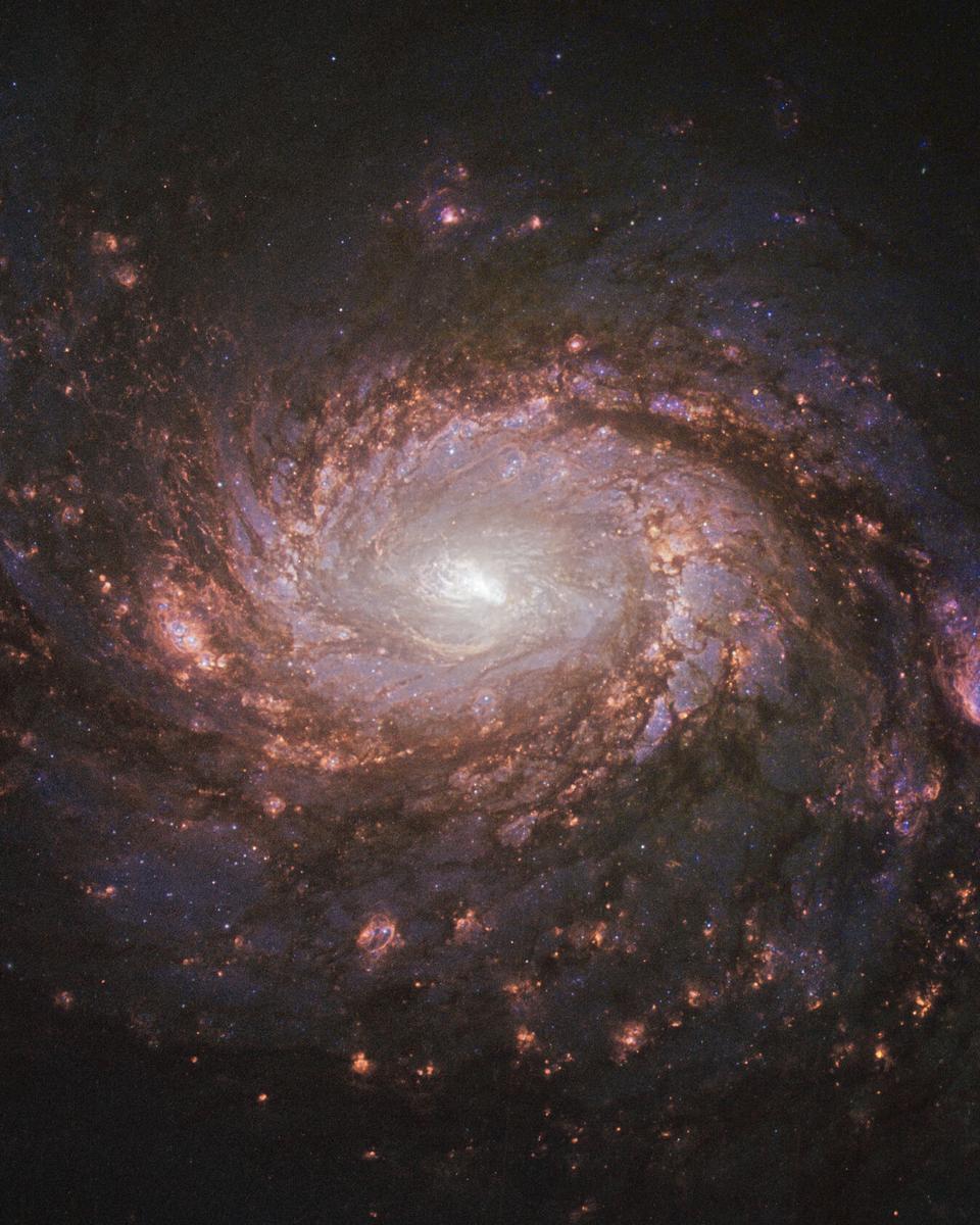 M77: Spiral Galaxy with an Active Center