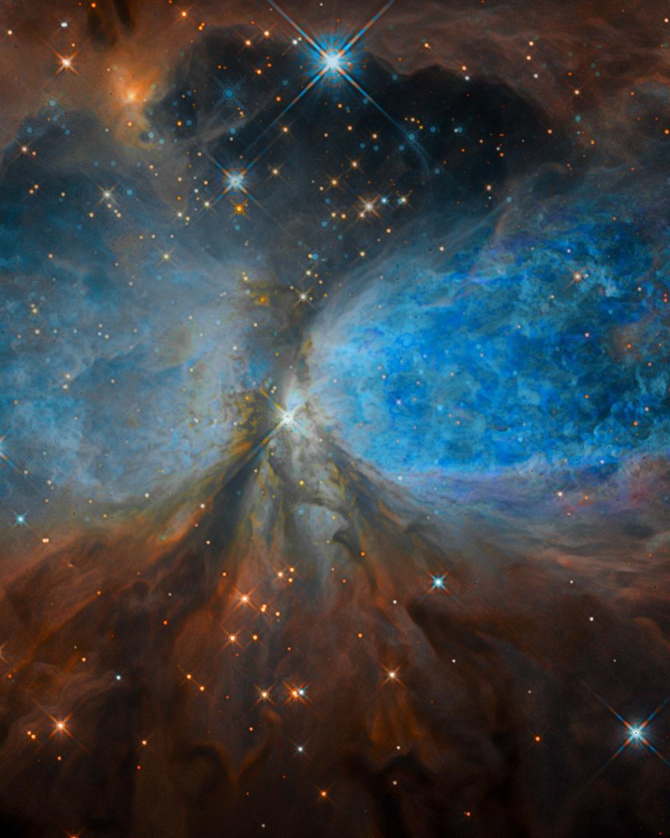 Star Forming Region S106