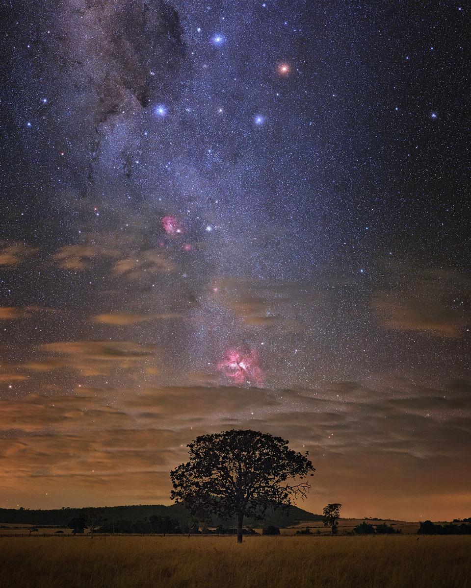 Carina in Perspective