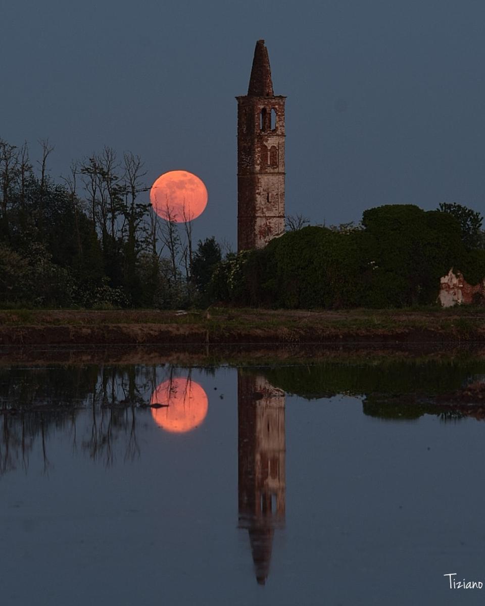 Full Flower Moonrise