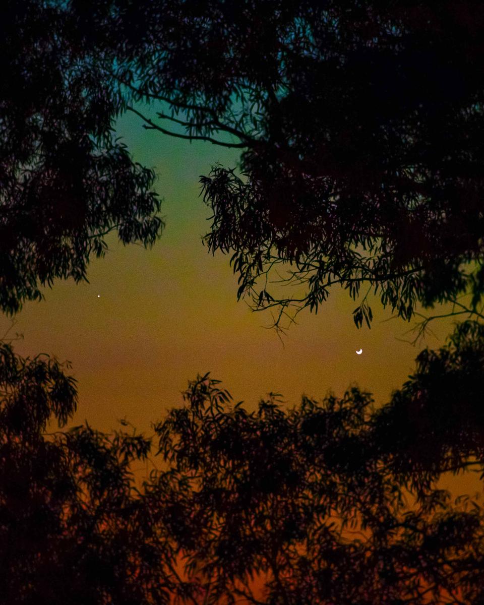 Mercury Meets Crescent Venus