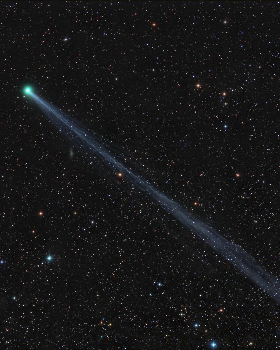 Long Tailed Comet SWAN