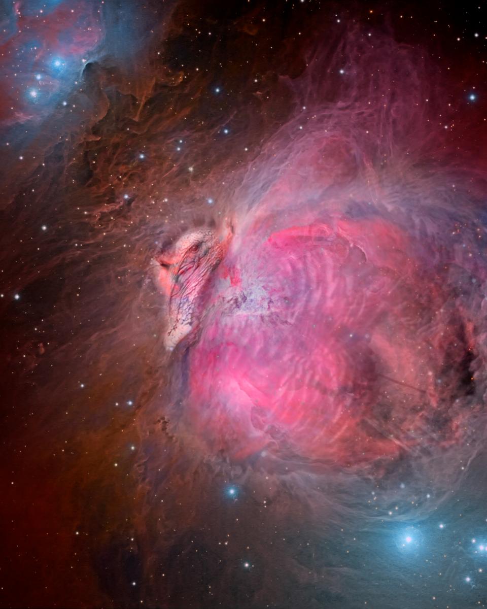 The Great Turkey Nebula
