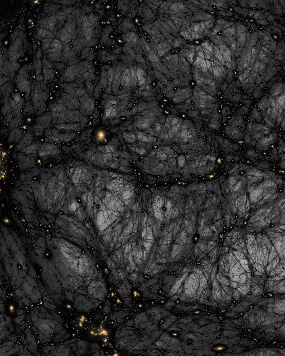 Dark Matter in a Simulated Universe