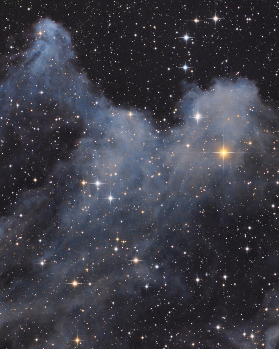 The Ghoul of IC 2118