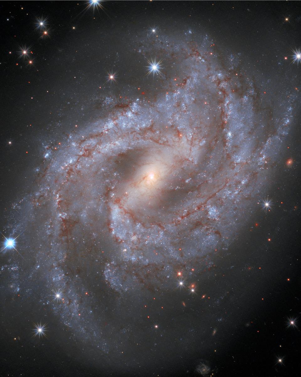 Supernova in NGC 2525