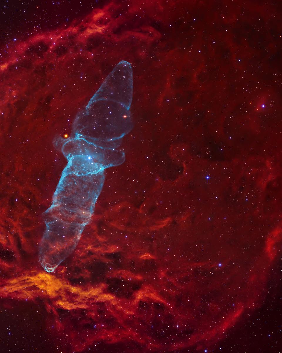 Ou4: A Giant Squid in a Flying Bat
