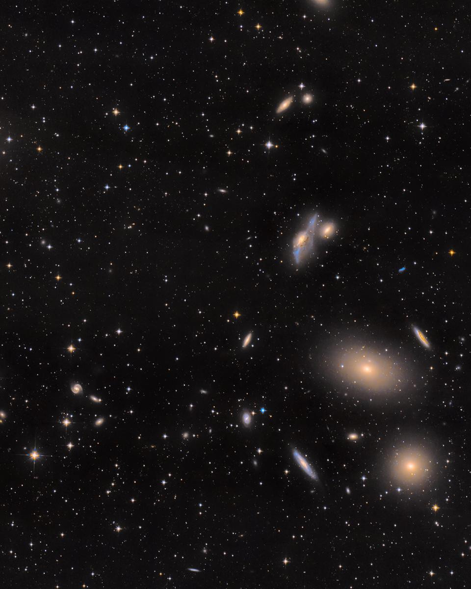 Virgo Cluster Galaxies